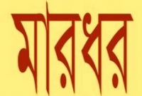 মেম্বারের ভাতিজাকে বিয়ে করার খেসারত যুবতীর  