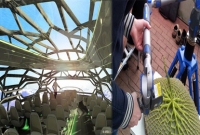 ভবিষ্যতের বিমান তৈরিতে প্রকৃতি থেকে শিক্ষা!