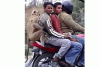 কিছু ঘটনা, যা শুধু ভারতেই ঘটে!