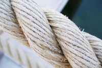 ৪০ হাজার বছর আগে কীভাবে তৈরি হয়েছিল দড়ি? জানাল নতুন গবেষণা