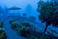 হিমালয়ের কোলে কমলালেবুর বাগানে  