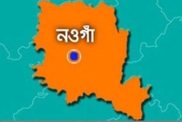 কুকুরের কামড়ে আহত ১২ কুকুরের কামড়ে আহত ১২