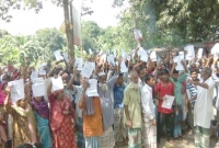 ‘সরকার আমাগোরে চাইল দিলো, গেলো কোনে’