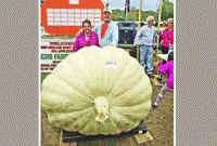 ৮৬৬ কেজির কুমড়া!