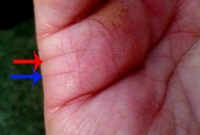 হাতে এই রেখাটি থাকলে বিয়ে করার আগে বারবার ভাবুন