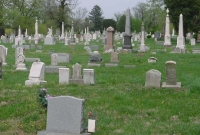 গোটা বিশ্বে সবচেয়ে বেশি মানুষ মারা যায় যে কারণে!