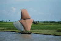 সবুজ পৃথিবী গড়ার ব্যাপারে যা বলছে ইসলাম