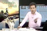 টিভির লাইভ শোতে ঢুকে পড়ল বিড়াল