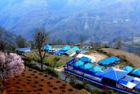 ক্লান্তি ভুলিয়ে দেবে এই অপরূপ প্রকৃতি, যাবেন নাকি এই সুন্দর শহরে