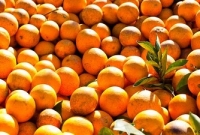 ১০টি খাবার যা দাঁতকে সাদা করে