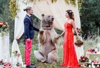 বিচিত্র ঘটনা, রুশ দম্পতির বিয়ে দিলো ভাল্লুক