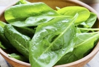  আশেপাশে বিস্ফোরক আছে কি না, তা জানিয়ে দেবে পালংশাক!