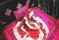 বাসর ঘরে নববধূর মৃত্যু, পালিয়ে বিয়ের ৭ মাস আগে