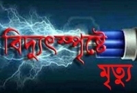 দিনাজপুরের বিরলে বিদ্যুৎ স্পৃষ্টে গৃহবধূর মর্মান্তিক মৃত্যু