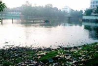 খেলার মাঠে মাছের চাষ!