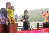 ভুল প্রমাণিত হলো বিশ্বের সব জরিপ, বানরের ভবিষ্যদ্বাণীই সঠিক!