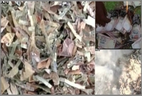 বস্তাভর্তি ৫০০ আর ১০০০ টাকার নোট পুড়ছে রাস্তায়, কেন পোড়ানো হচ্ছে?