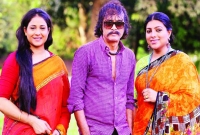 সালাউদ্দিন লাভলুর ‘সোনার পাখি, রুপার পাখি’