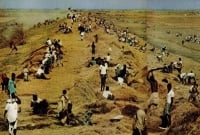 ১৯৭০ সালের ঘূর্ণিঝড় ‘গোর্কি’র তাণ্ডব এখনও ভুলতে পারেননি নোয়াখালী উপকূলবাসী