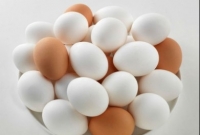 সাদা ডিম ভাল নাকি লালচে ডিম?