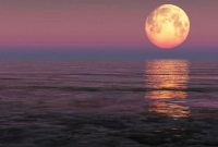 ৬৮ বছর পর আবারও আকাশে ‘সুপার মুন’, দেখা মিলবে আজ বিকেলে