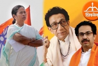 মমতা ব্যানার্জীর সঙ্গে শিবসেনাও