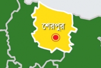 স্বামীর মোটরসাইকেল থেকে ছিঁটকে পড়ে নববধূর মৃত্যু