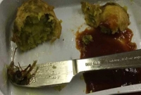 এয়ার ইন্ডিয়ার বিমানের খাবারে তেলাপোকা!