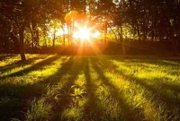 সূর্যের আলো না লাগলে হতে পারে এই ভয়ঙ্কর রোগ!