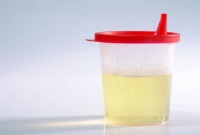 প্রস্রাব দিয়ে জ্বলবে বাতি!