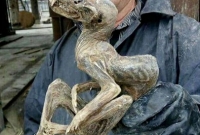 হীরের খনি থেকে উঠে এলো এ কোন ভয়ঙ্কর জীব!