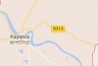 কাপাসিয়ায় গরুর গুতোয় কৃষকের মৃত্যু