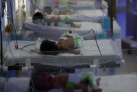 বিস্কুটের বাক্সে ভরে শিশু পাচার বিস্কুটের বাক্সে ভরে শিশু পাচার