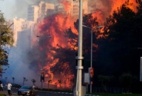 ভয়াবহ দাবানলে জ্বলছে ইসরাইল ভয়াবহ দাবানলে জ্বলছে ইসরাইল