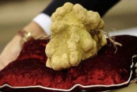 খাবারের দাম এক কোটি আটাশ লাখ টাকা!