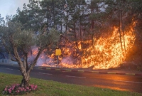 জাহান্নামের আগুনে পুড়ছে ইসরাইল! দাবানল ভয়াবহ রূপে ছড়িয়ে পড়ছে পশ্চিম তীরেও