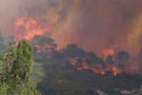 টানা ৬ দিন ধরে ‘আল্লাহর গজব’ আগুনে জ্বলছে ইসরাইল, পালিয়েছে ১০ হাজার দখলদার ইহুদী