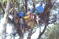 হাতির আক্রমণ থেকে বাঁচতে পরিবার নিয়ে গাছের মগডালে আশ্রয়, রাত্রিবাস