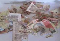 গাছের নিচে পাওয়া গেলো ছেড়া নোট ভর্তি ব্যাগ!