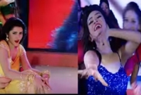 রসমালাই আইটেম গানে হ্যাপি-পরীমনির বাজিমাত