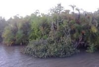  বন্দুকযুদ্ধ, ১১টি আগ্নেয়াস্ত্র ২শ ২৭ রাউন্ড গোলাবারুদ উদ্ধার