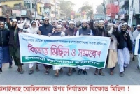 রোহিঙ্গাদের উপর নির্যাতনের প্রতিবাদে বিশাল বিক্ষোভ মিছিল
