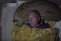  চিতাকে বালিশ করে ঘুমান তিনি!