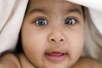 পুত্রসন্তান পেতে গোমাংসের দাওয়াই, তুমুল শোরগোল পড়ল সোশ্যাল মিডিয়ায়