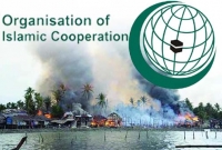 রোহিঙ্গা ইস্যুতে জাতিসংঘের সহায়তা চায় ওআইসি