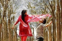 বিবর্ণ ভালবাসার রঙিন গল্প.......