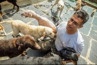  ৭৩৫ কুকুরের বাবা এই ইঞ্জিনিয়ার !