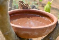 এক পাত্র পানিই ঠেকাতে পারে আপনার উপরে অশুভ আত্মার প্রভাব