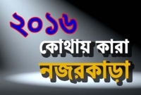 ২০১৬ সালে সবার নজর কেড়েছিল যেসব ঘটনা