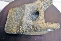 আড়াই লক্ষ বছর আগে ভিনগ্রহের প্রাণীরা এসেছিল পৃথিবীতে? উঠে এল চাঞ্চল্যকর তথ্য 